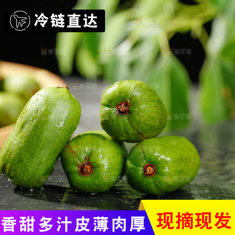 深底上的软枣猕猴桃