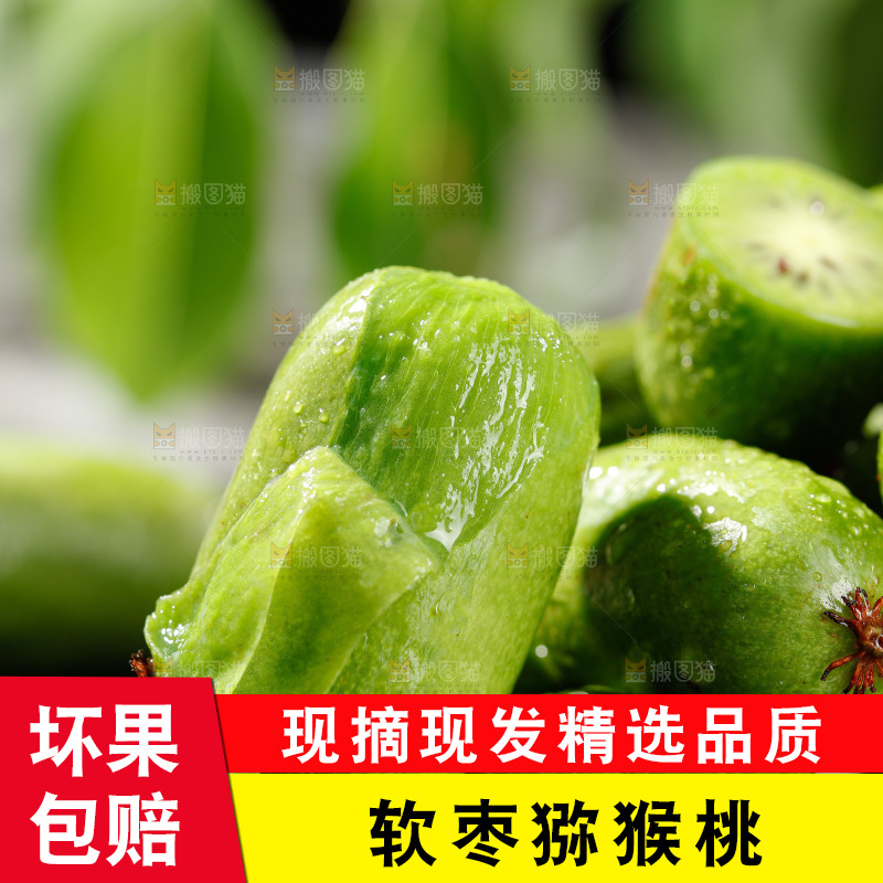 深底上的软枣猕猴桃