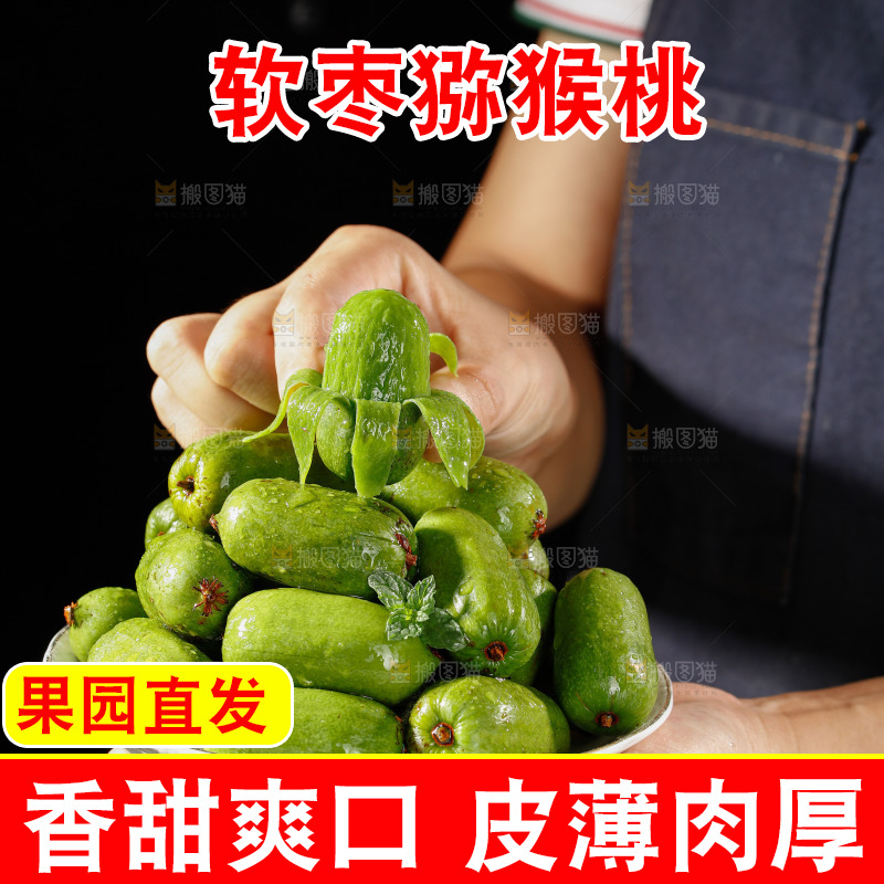 深底上的软枣猕猴桃