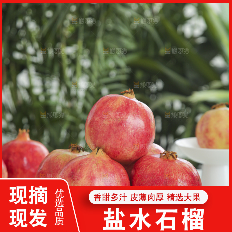 浅底上的会泽盐水石榴