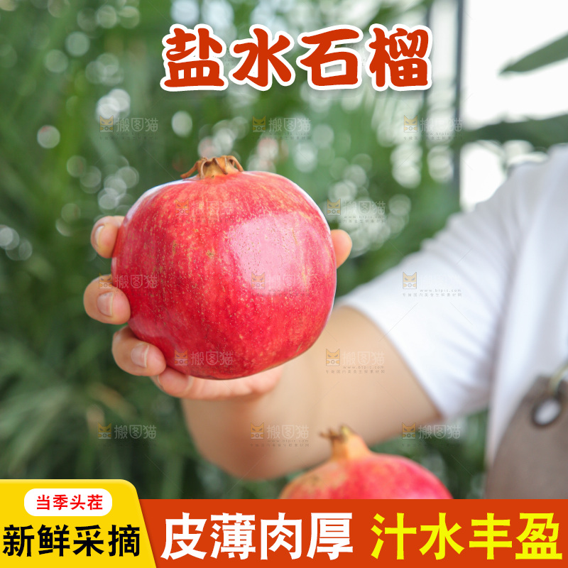 手里拿着会泽盐水石榴