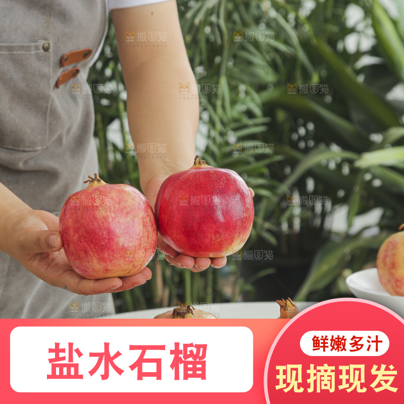 手里拿着会泽盐水石榴