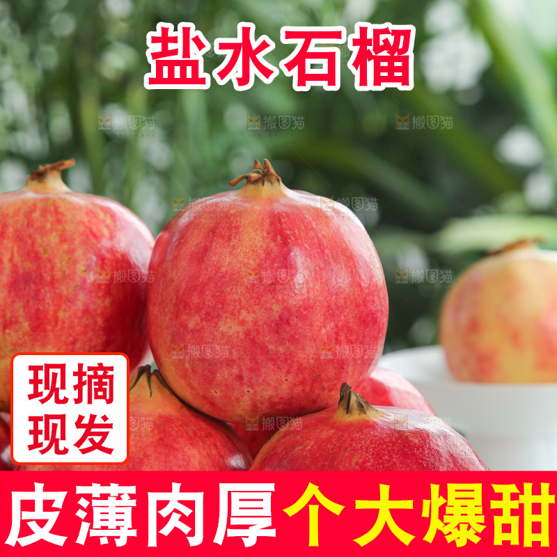 浅底上的会泽盐水石榴