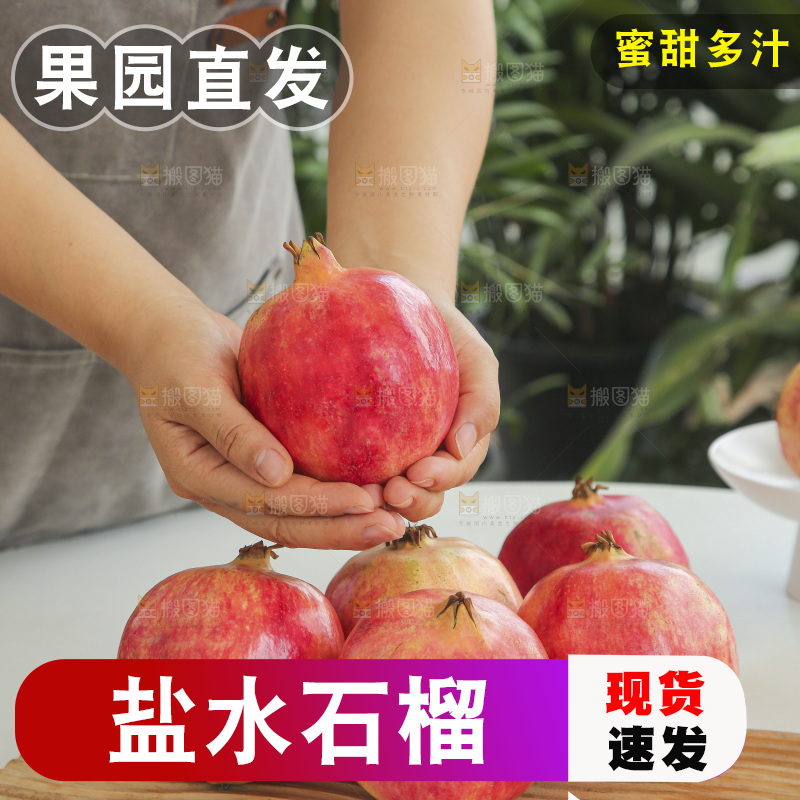 手里拿着会泽盐水石榴