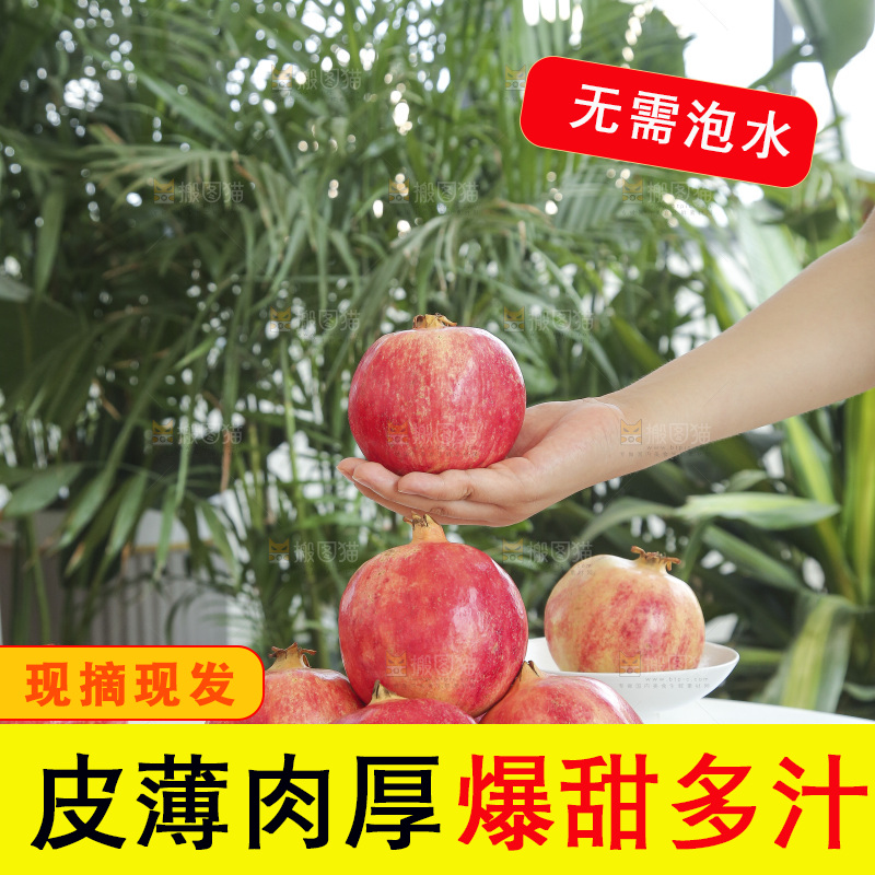 手里拿着会泽盐水石榴