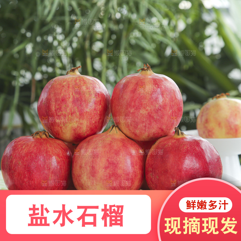 浅底上的会泽盐水石榴