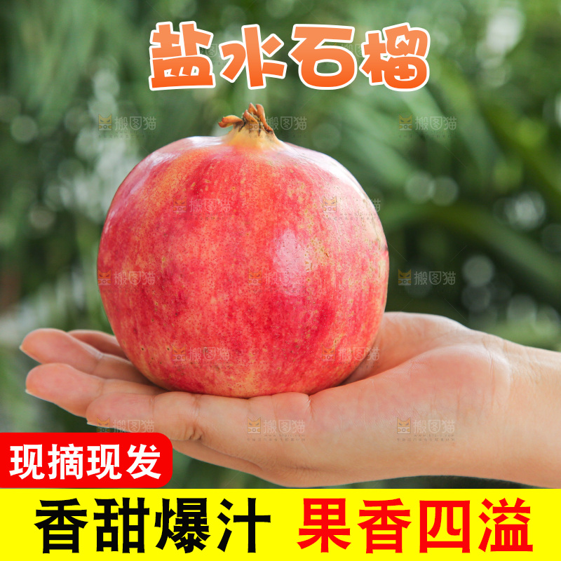 手里拿着会泽盐水石榴