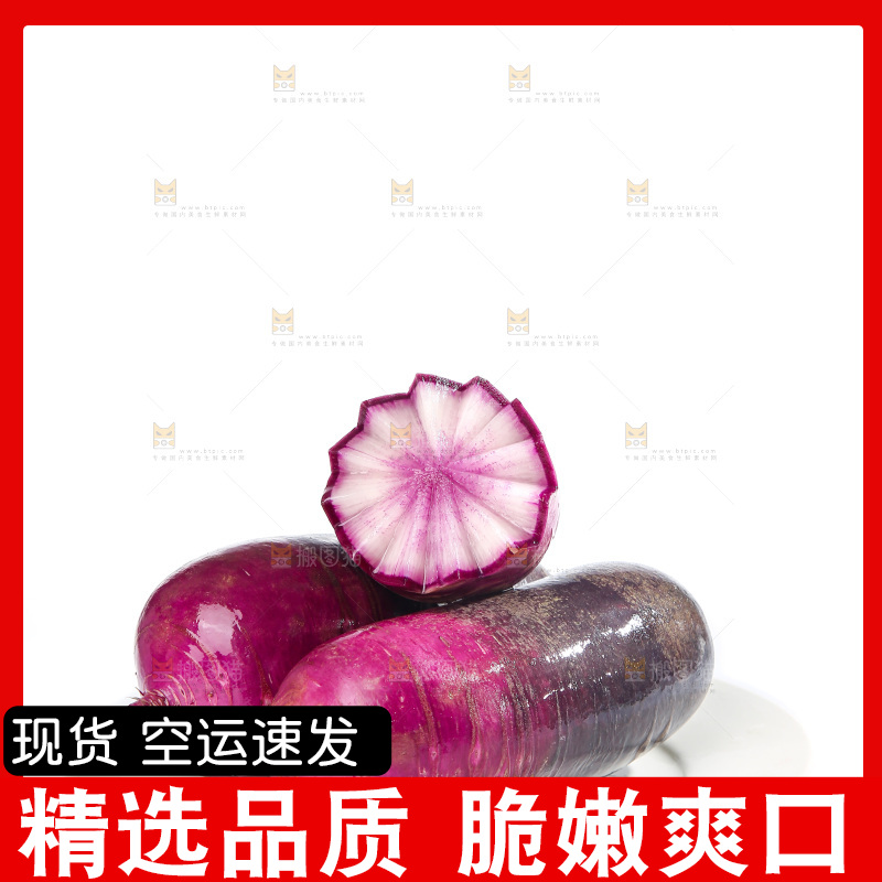 白底上的冰淇淋萝卜