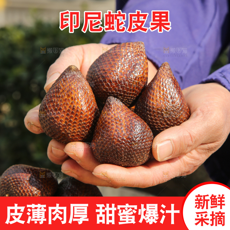 手里拿着蛇皮果