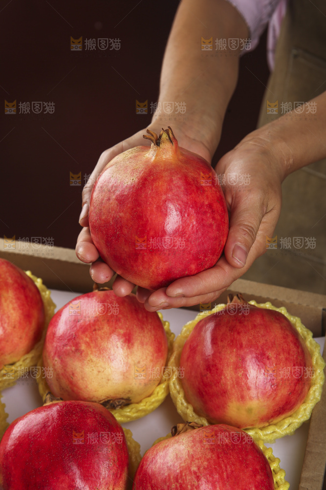 深底上的盐水石榴
