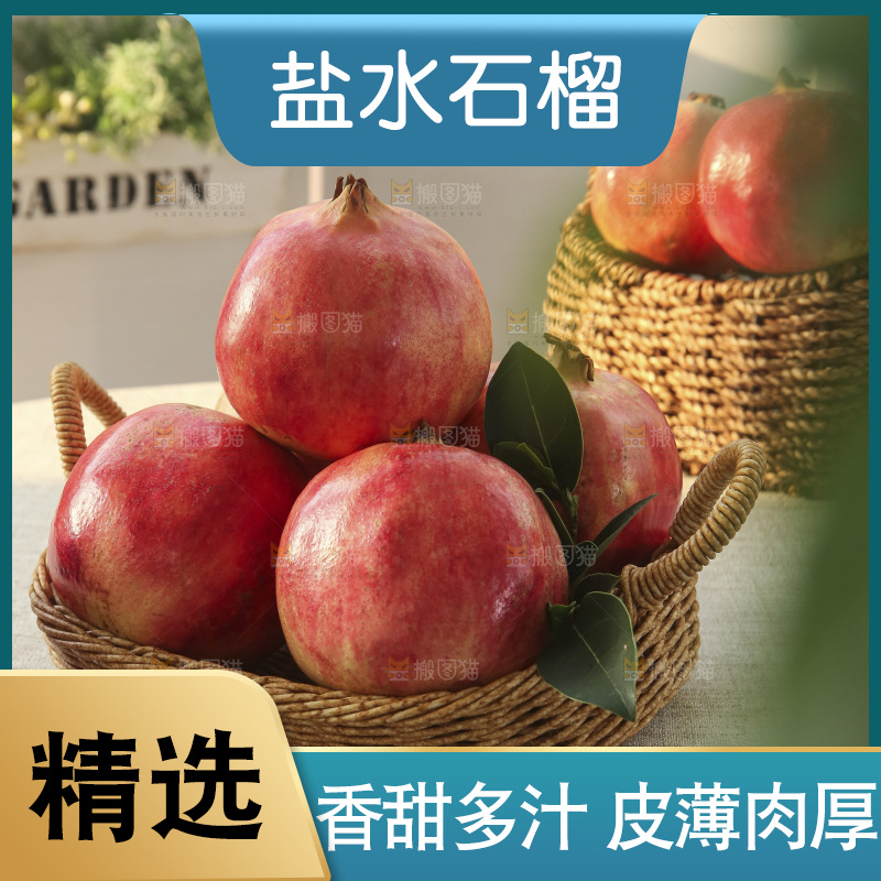 浅底上的盐水石榴