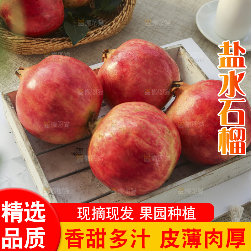 浅底上的盐水石榴
