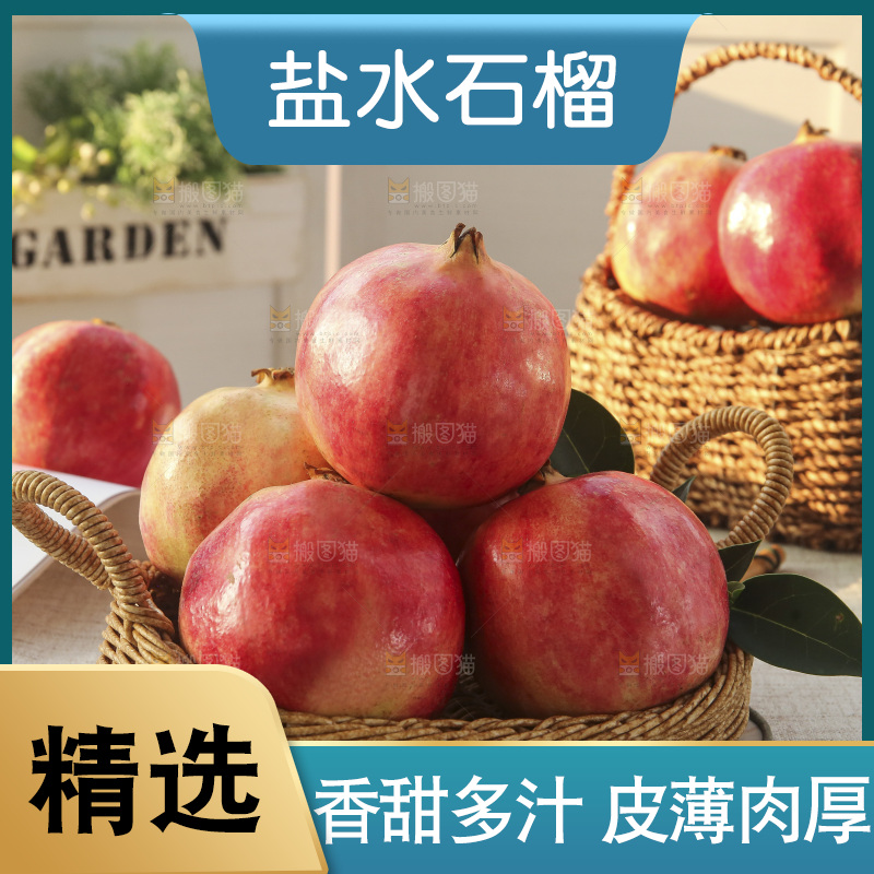 浅底上的盐水石榴
