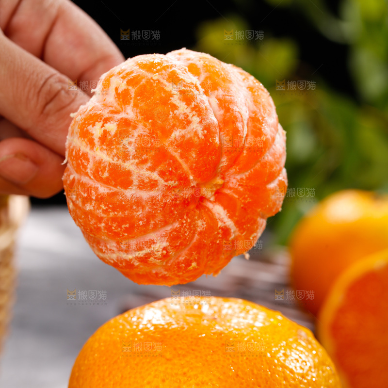 深底上的宜昌蜜桔