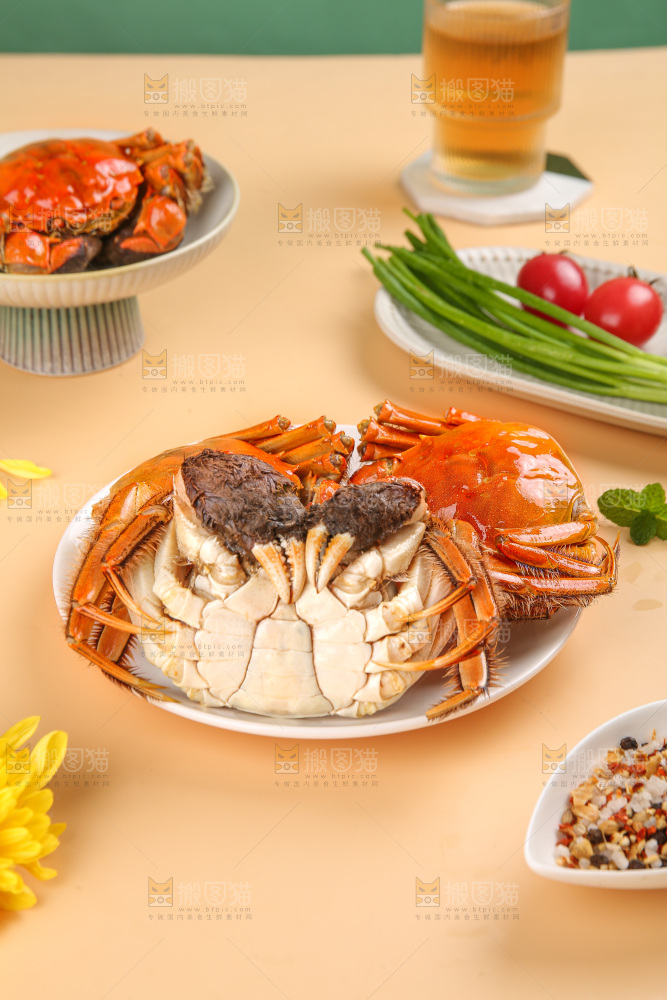 浅底上的大闸蟹