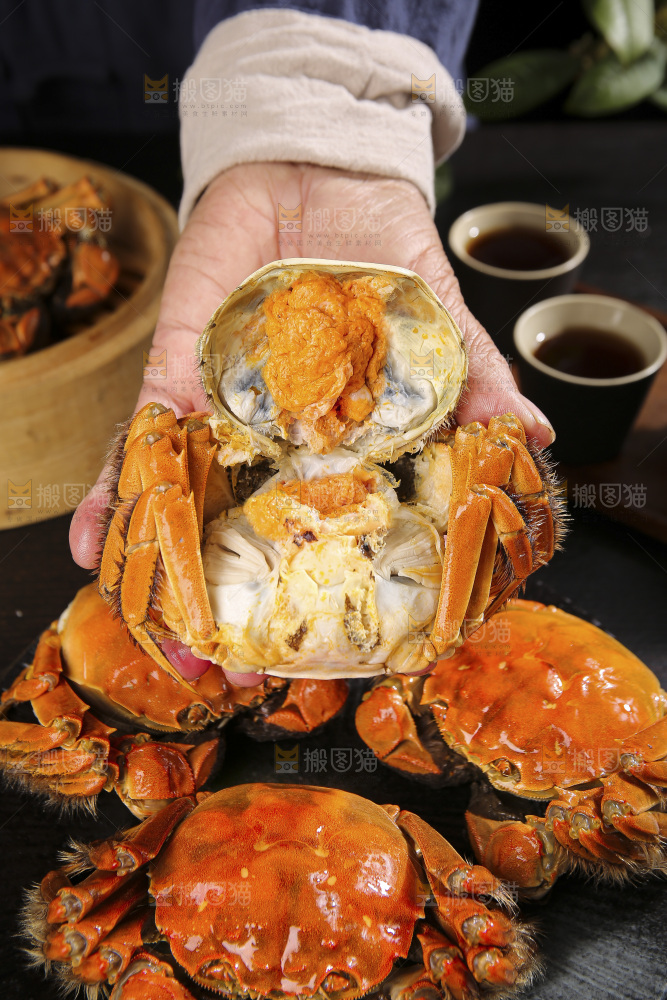 深底上的大闸蟹