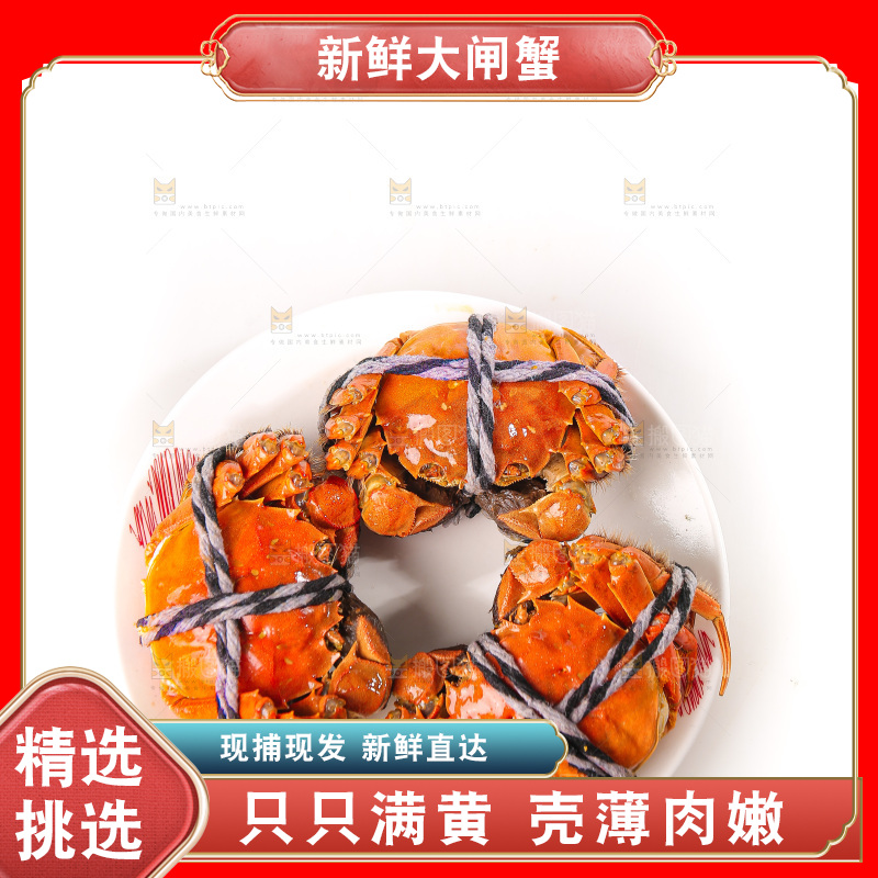 白底上的大闸蟹