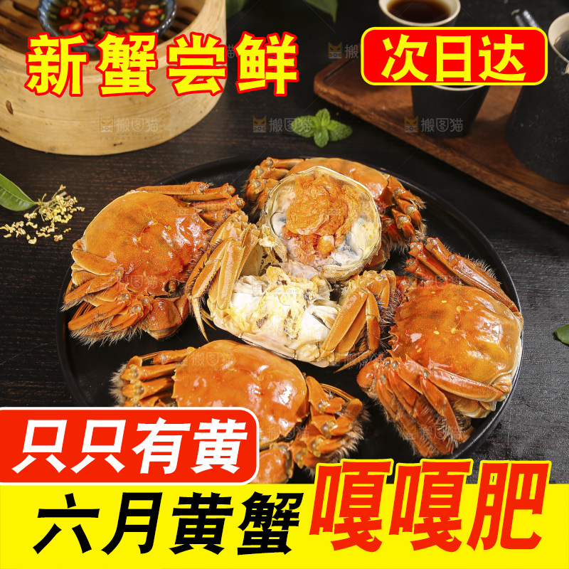 深底上的大闸蟹