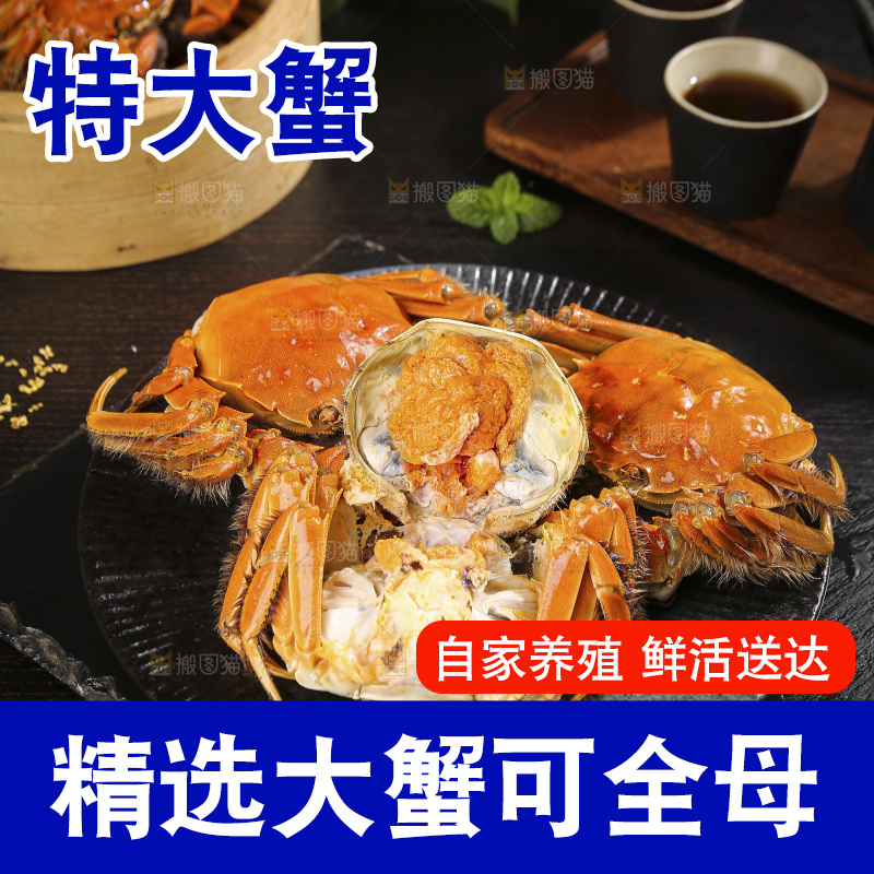 深底上的大闸蟹
