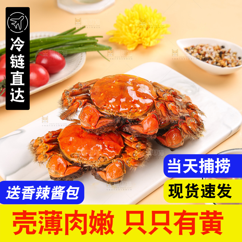 浅底上的大闸蟹