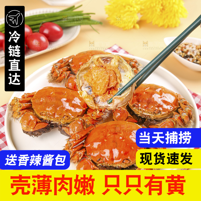 浅底上的大闸蟹