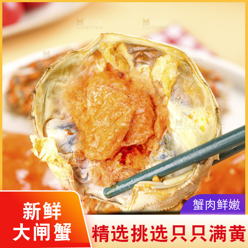 浅底上的大闸蟹