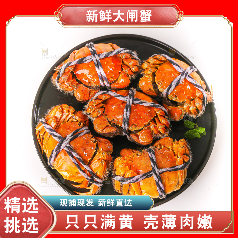 白底上的大闸蟹