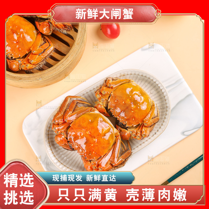 浅底上的大闸蟹