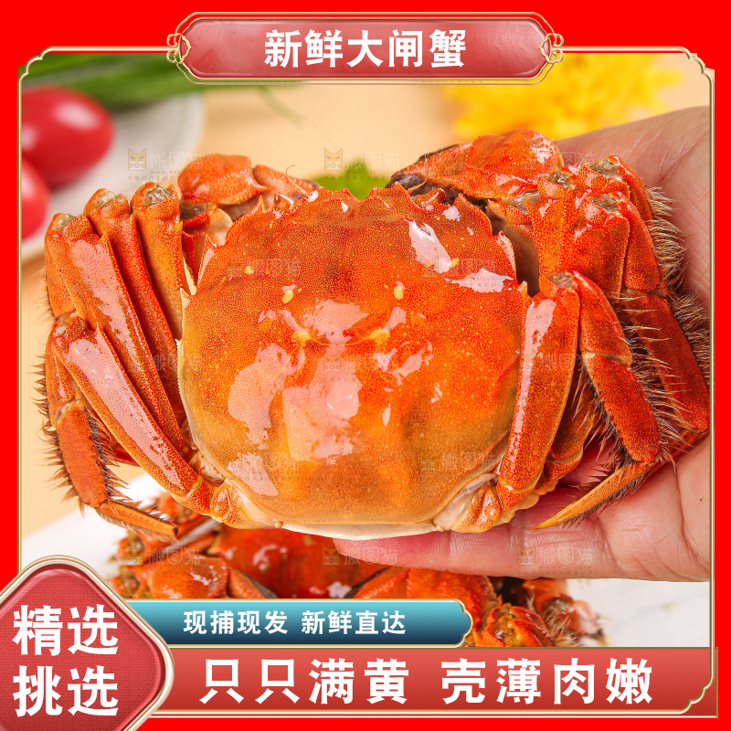 浅底上的大闸蟹