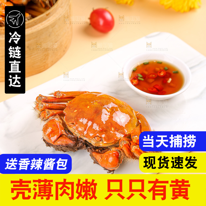 浅底上的大闸蟹