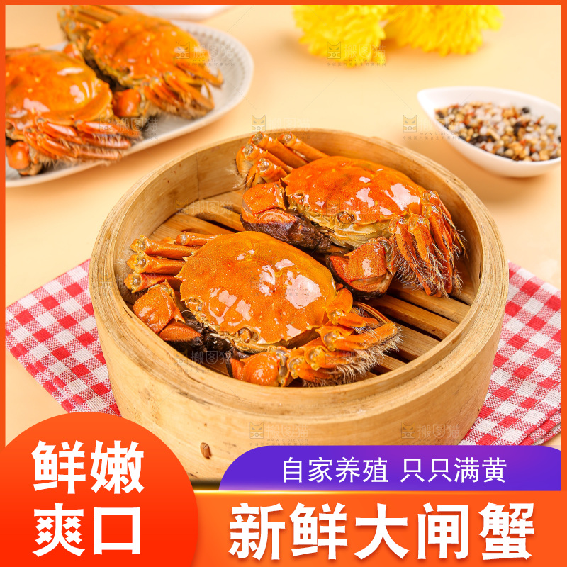 浅底上的大闸蟹
