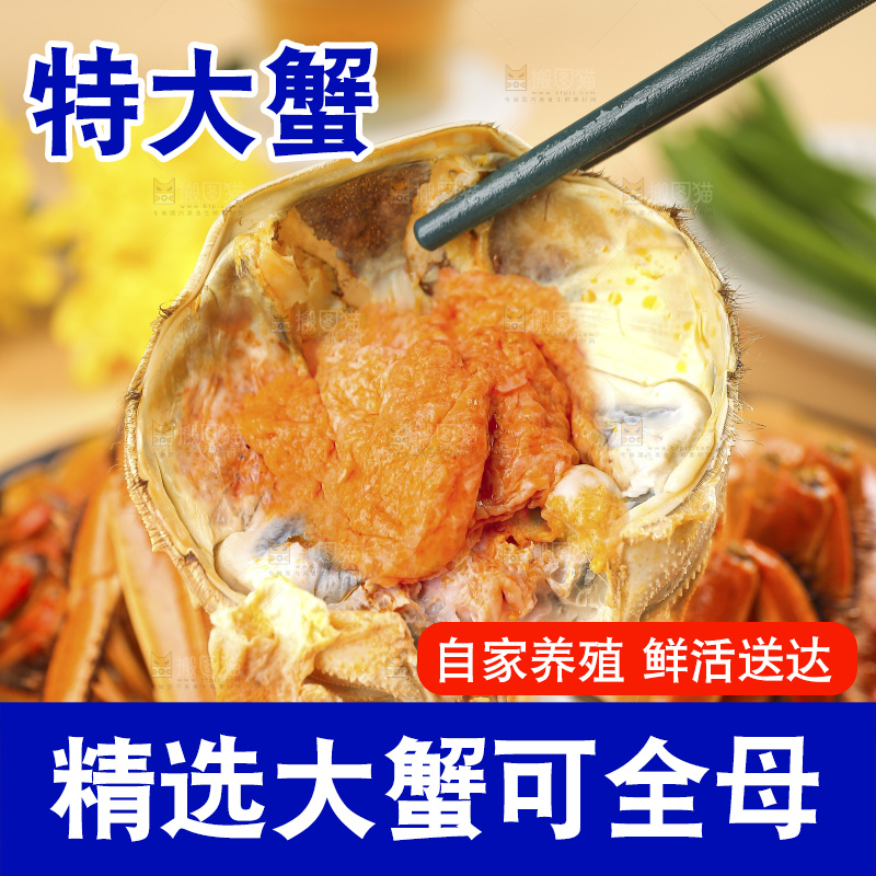 浅底上的大闸蟹