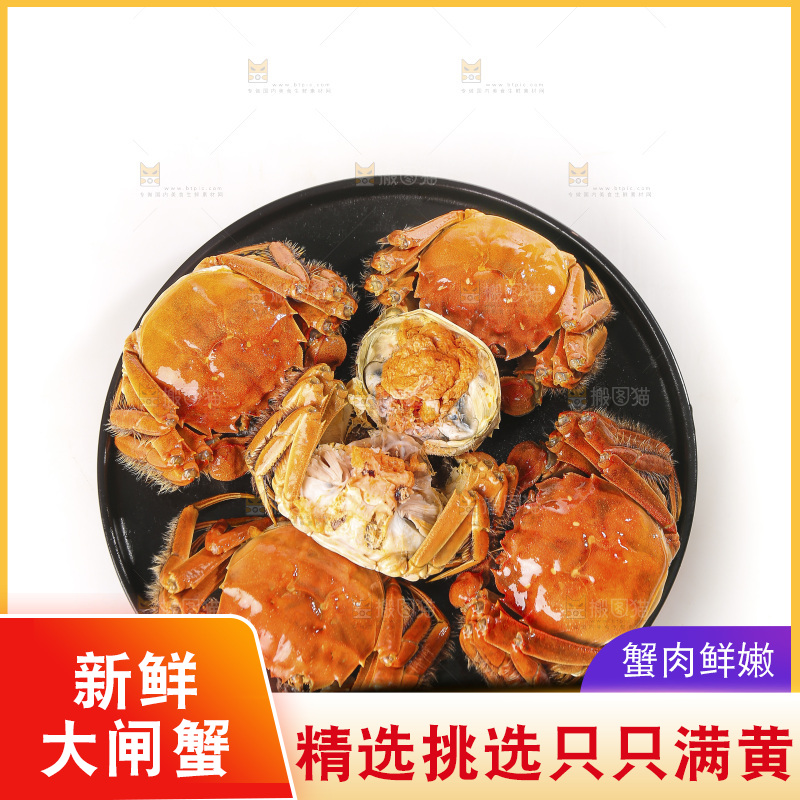 白底上的大闸蟹