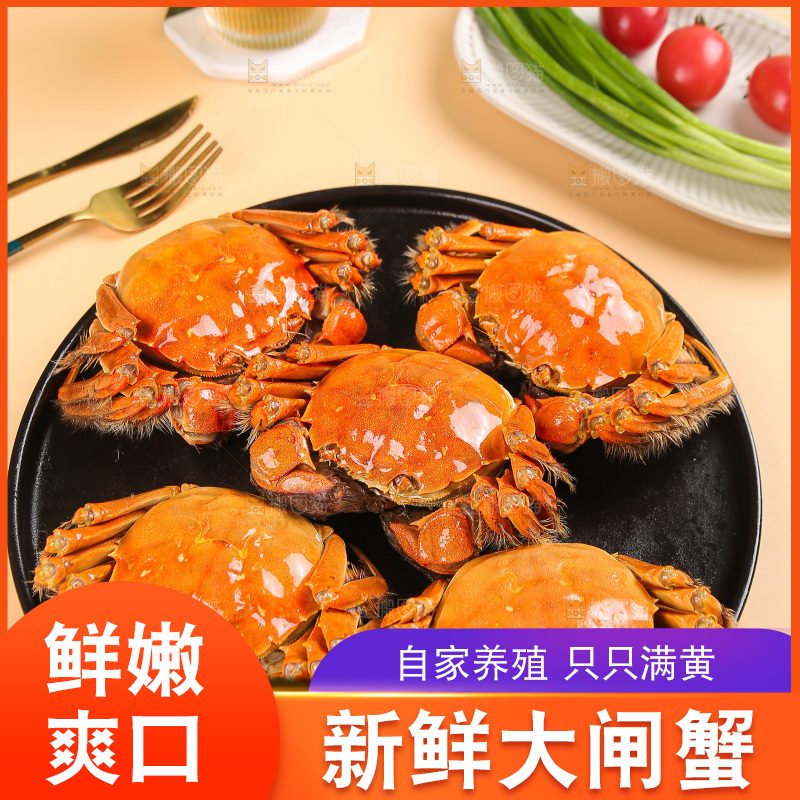 浅底上的大闸蟹