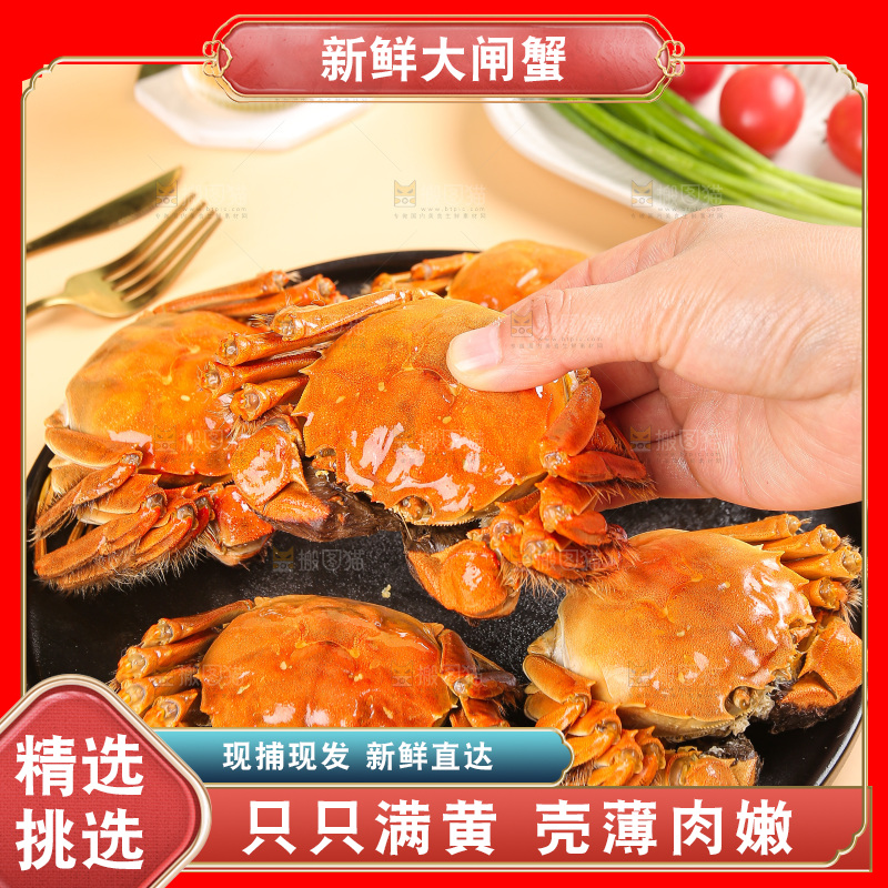 浅底上的大闸蟹