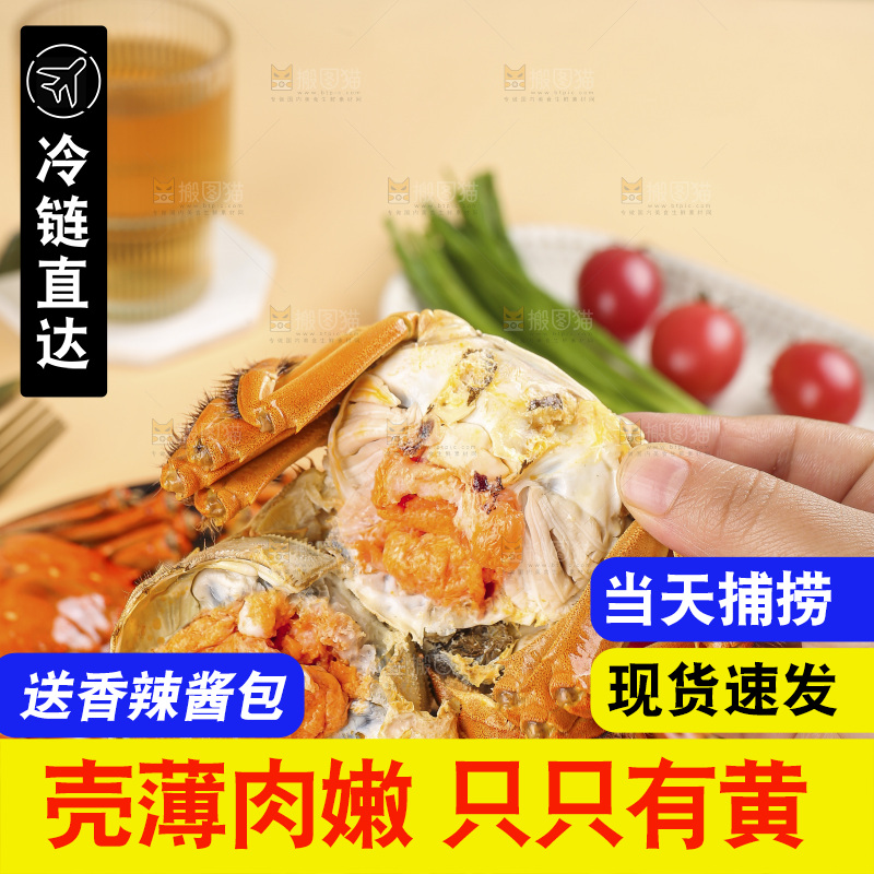 浅底上的大闸蟹