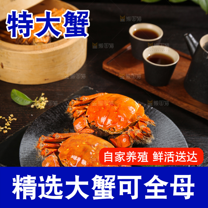 深底上的大闸蟹
