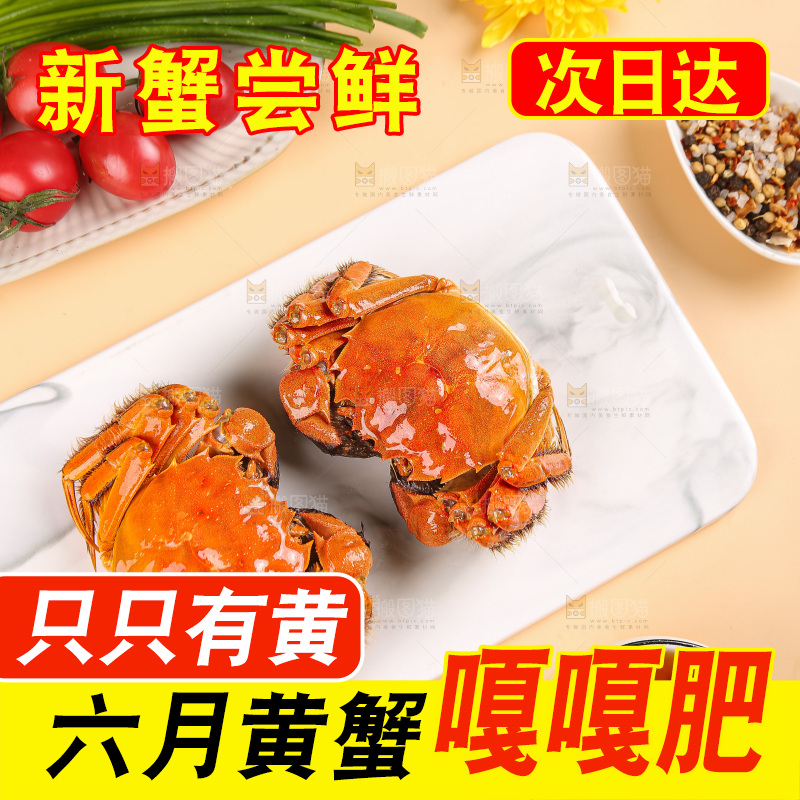 浅底上的大闸蟹