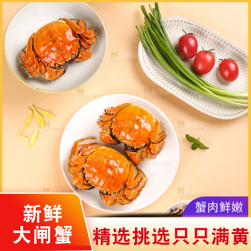浅底上的大闸蟹