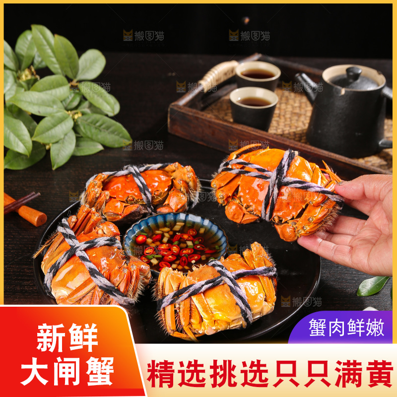 深底上的大闸蟹