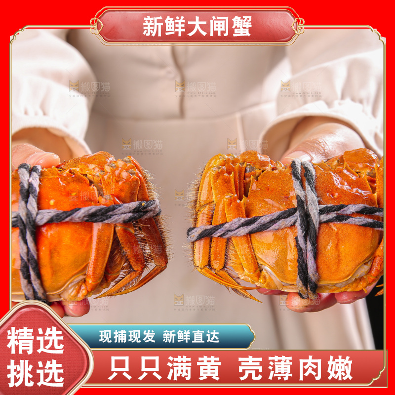 深底上的大闸蟹