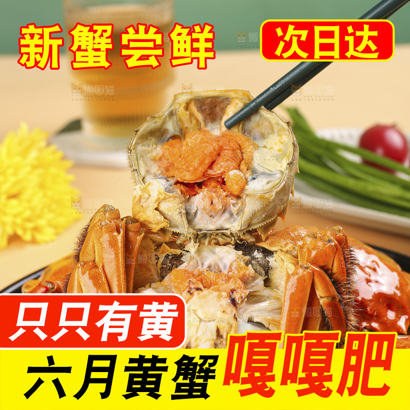 浅底上的大闸蟹