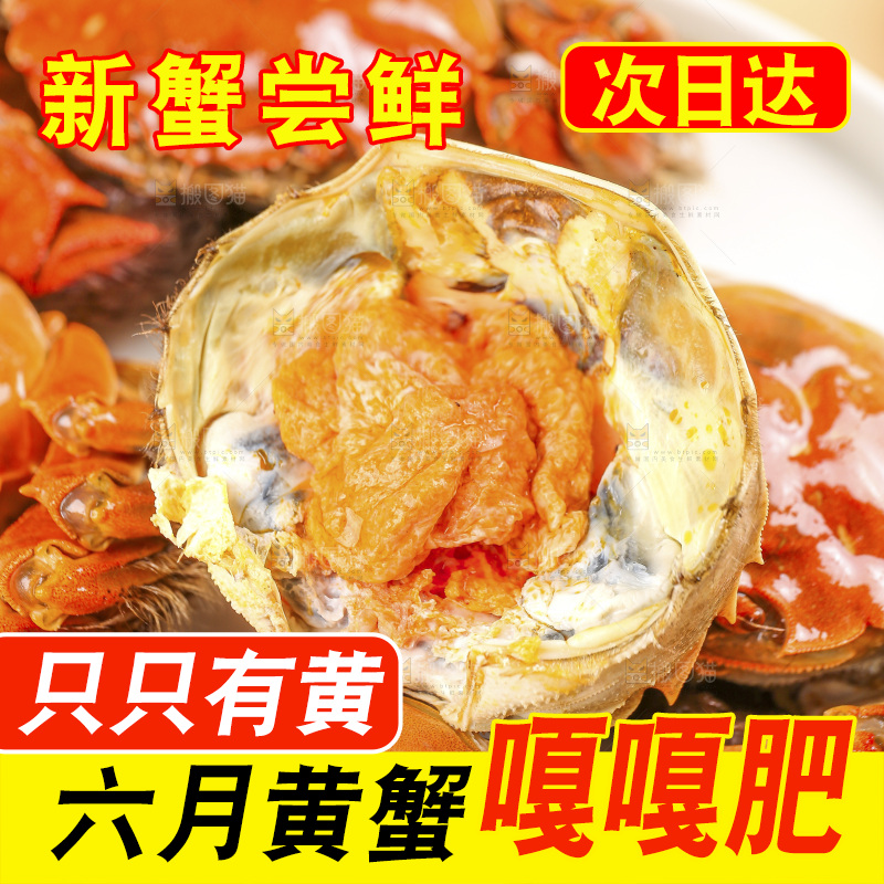 浅底上的大闸蟹