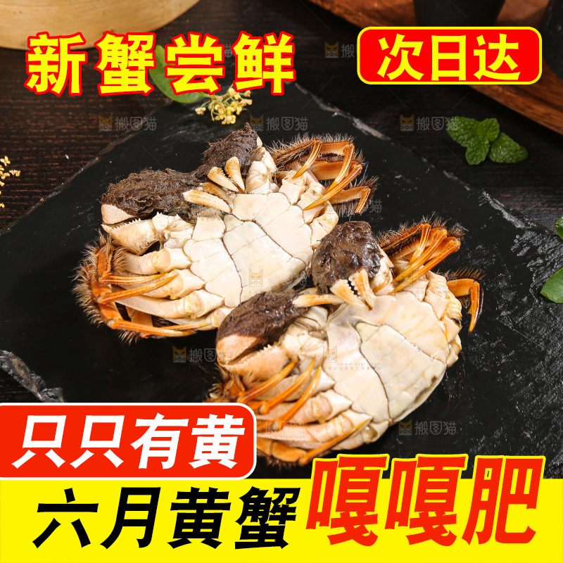 深底上的大闸蟹