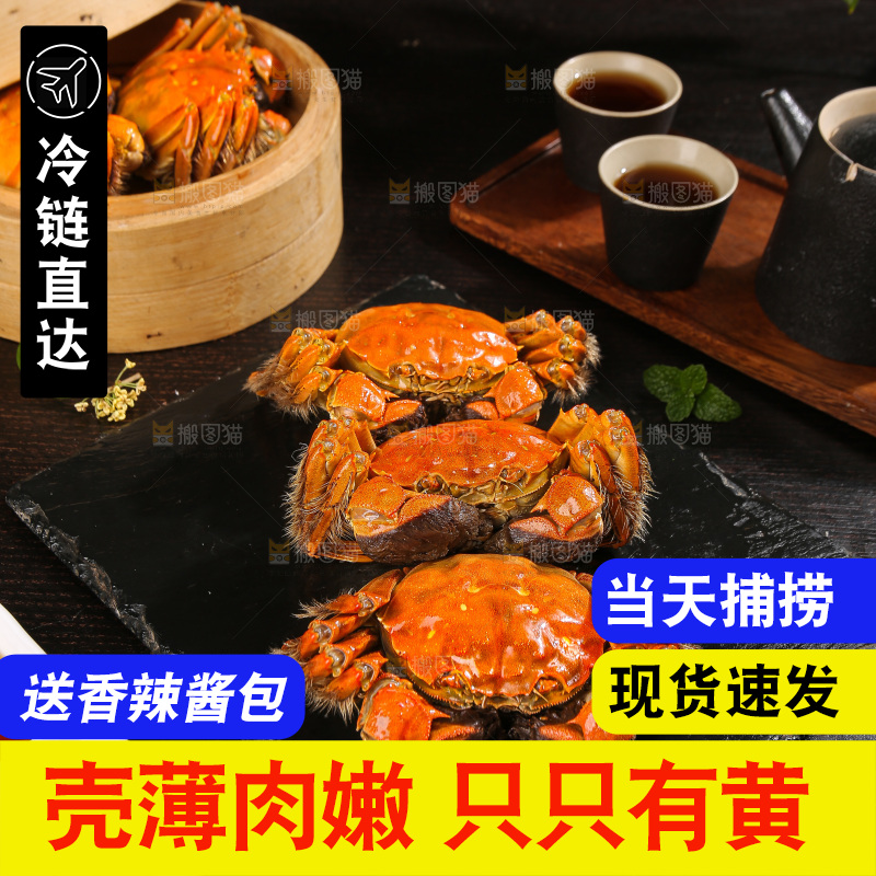 深底上的大闸蟹