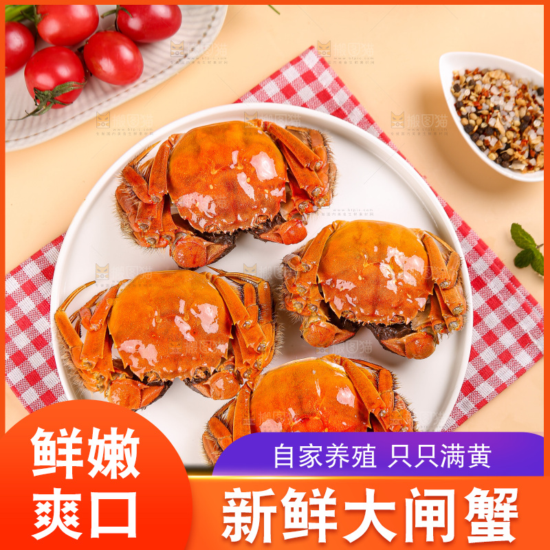 浅底上的大闸蟹
