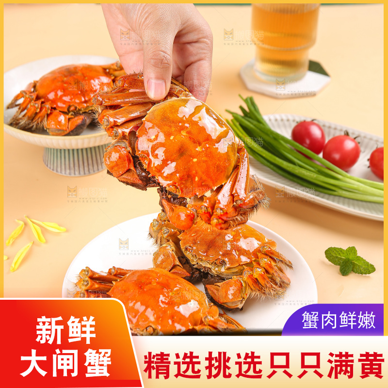 浅底上的大闸蟹