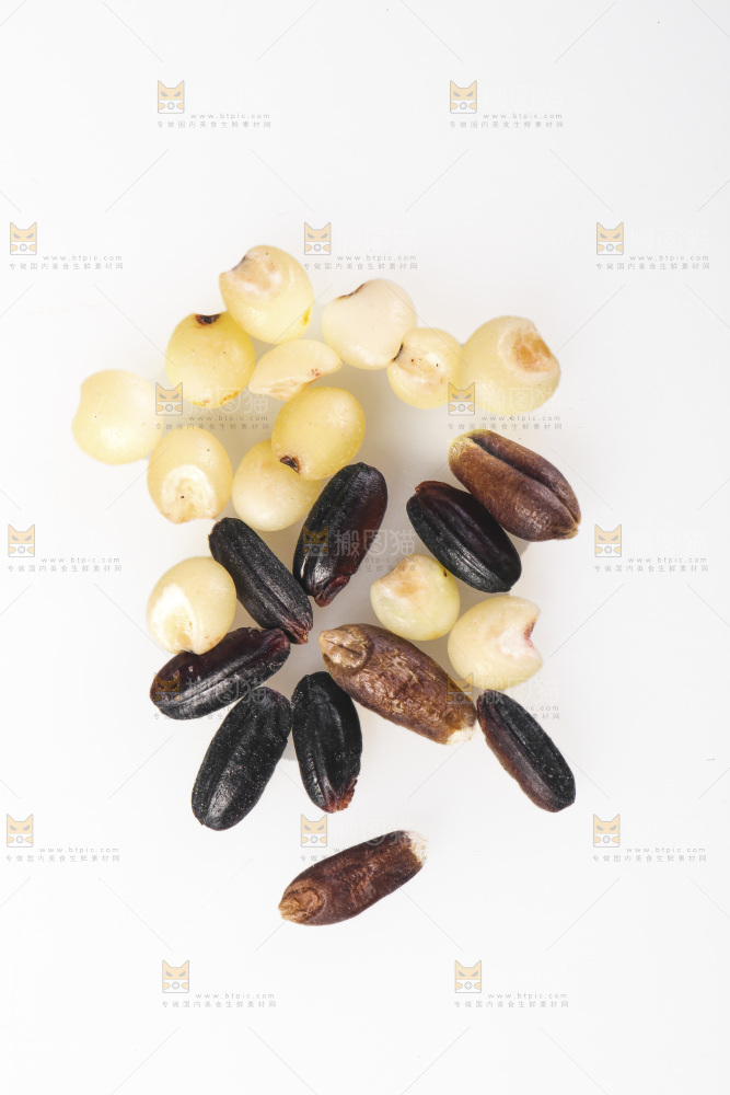 白底上的杂粮豆浆