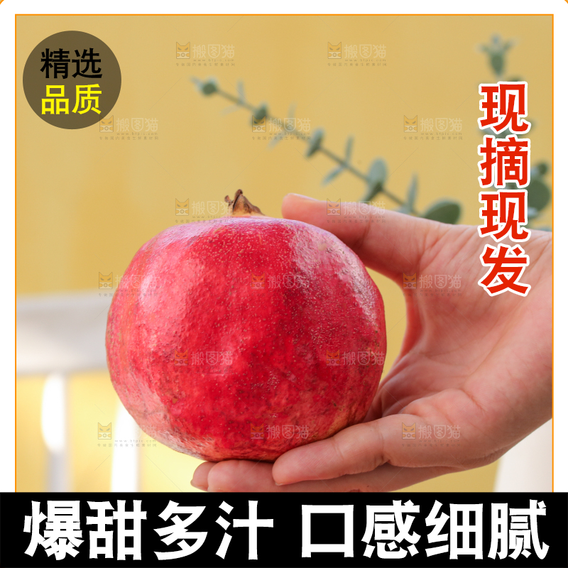 浅底上的盐水石榴