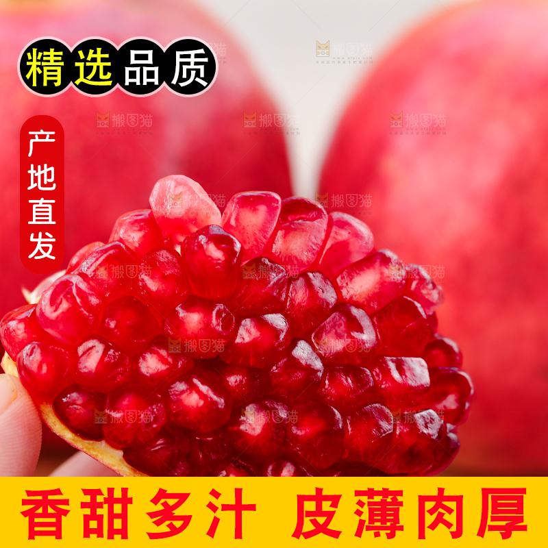 浅底上的盐水石榴